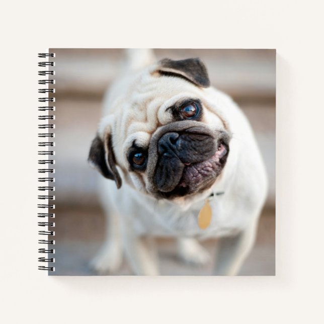 Mops Head Tilt Notizbuch (Vorderseite)