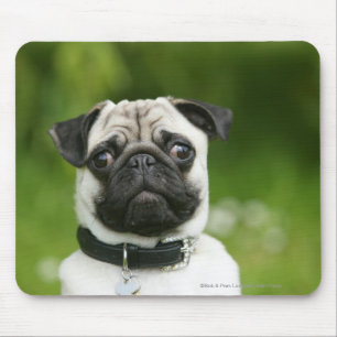 Mops Headshot Mousepad
