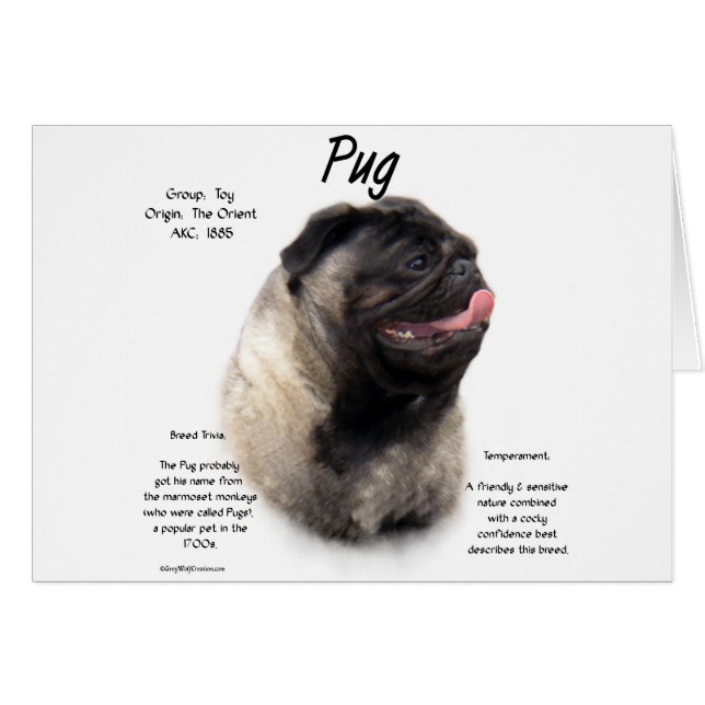 Mops History Design (Vorderseite (Horizontal))
