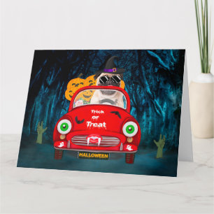 Mops-Hund fährt Auto Gruselig Halloween Karte