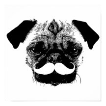 Mops Hund mit Mustache Black & White