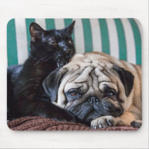 Mops-Hund und schwarze Katze, die zusammen Mousepad