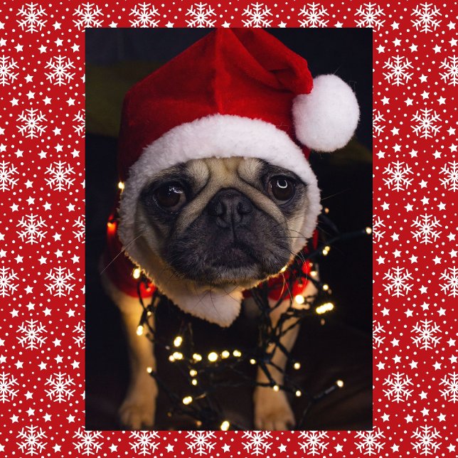 Mops Hund Weihnachten personalisieren Unterschrift (Von Creator hochgeladen)