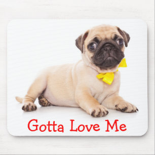 Mops-Hund-Welpen-Mauspad mit Schleife, den man ein Mousepad