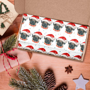 Mops Hund züchten Weihnachtsstars Seidenpapier