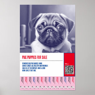 Mops-Hündchen-Verkaufsflyer-Vorlagen Poster