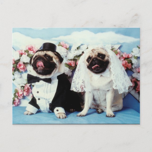 Mops Hunde Hochzeit Postkarte (Vorderseite)