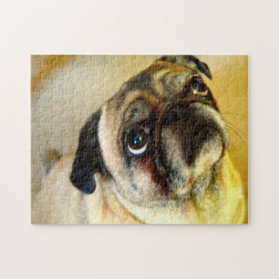 Mops Hunde. Puzzle