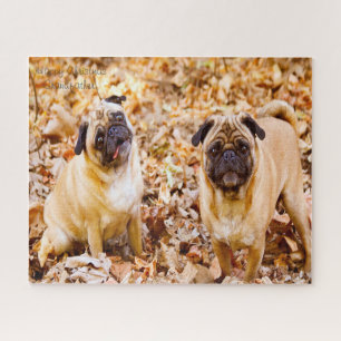Mops Hunde. Puzzle