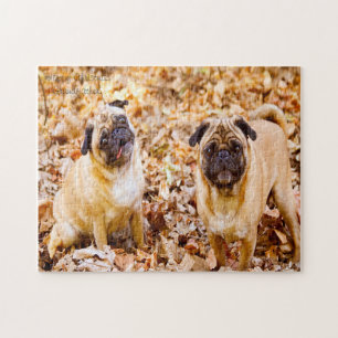 Mops Hunde. Puzzle