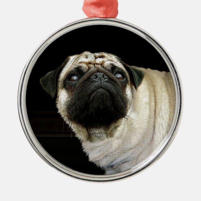 Mops Hunde und verschüttete Tasse Haustiere Liebha Ornament Aus Metall (Vorne)