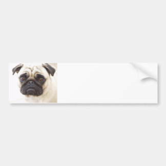 Mops-HundeAutoaufkleber Autoaufkleber