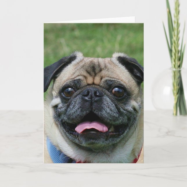Mops-Hundenotecard Karte (Vorderseite)