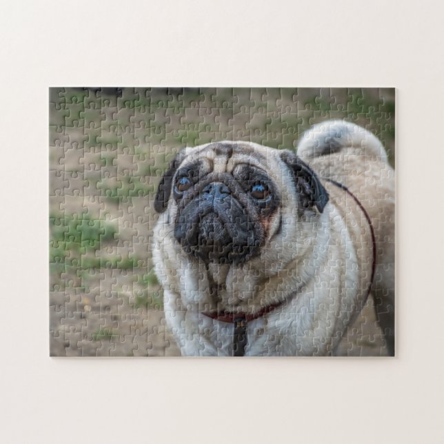 Mops-Hundepuzzle Puzzle (Horizontal)
