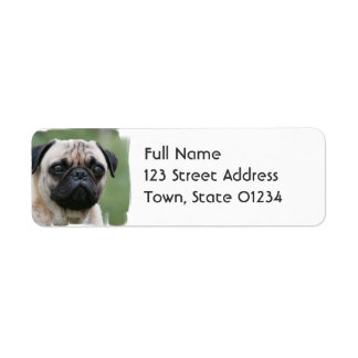 Mops-Hundeschrift