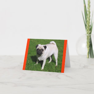 Mops-Hundwelpen-Hunde Grußkarte leer Karte