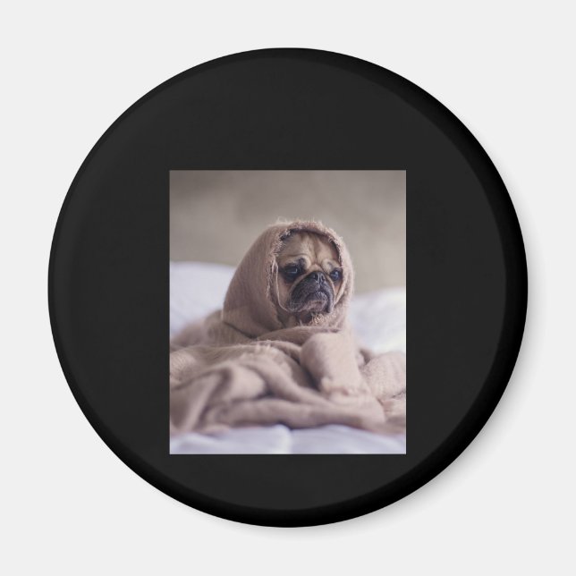Mops in Blanket Niedlicher Mops Hund Lover Geschen Magnet (Vorne)