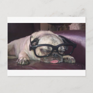 Mops in Brille Postkarte