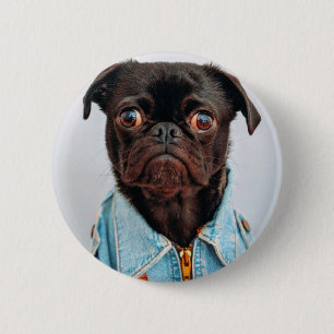 Mops in Denim Jackey Niedlich Adorable Doppy Puppy Button