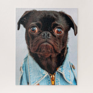 Mops in Denim Jackey Niedlich Adorable Doppy Puppy Puzzle