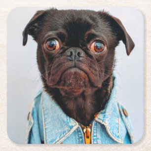 Mops in Denim Jackey Niedlich Adorable Doppy Puppy Rechteckiger Pappuntersetzer
