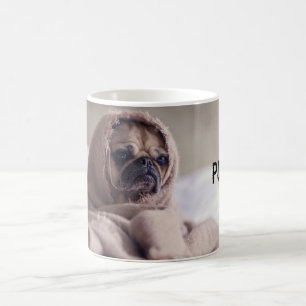 Mops in der umfassenden Tasse