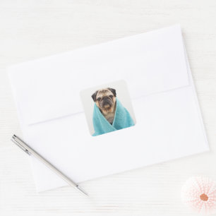 Mops in einem Handtuch Quadratischer Aufkleber