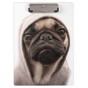 Mops in einem Hoodie Klemmbrett