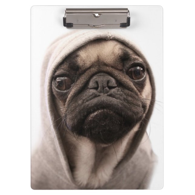 Mops in einem Hoodie Klemmbrett (Vorderseite)