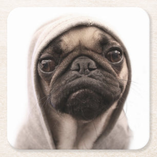 Mops in einem Hoodie Rechteckiger Pappuntersetzer