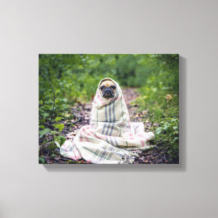 Mops in einer Blankette Leinwanddruck
