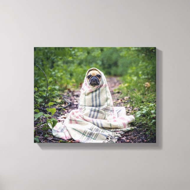 Mops in einer Blankette Leinwanddruck (Vorderseite)