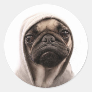 Mops in einer Hoodie Runder Aufkleber