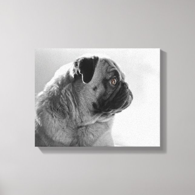 Mops in Profil Leinwanddruck (Vorderseite)