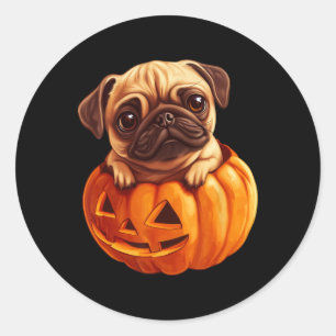 Mops in Pumpkin Halloween Pugkin Niedlicher Mops H Runder Aufkleber
