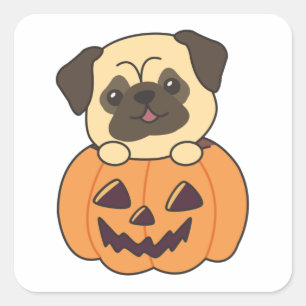 Mops in Pumpkin Sweet Hunde glückliche Halloween Quadratischer Aufkleber