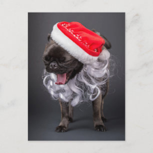Mops in Weihnachtsmannmütze und Bart Feiertagspostkarte