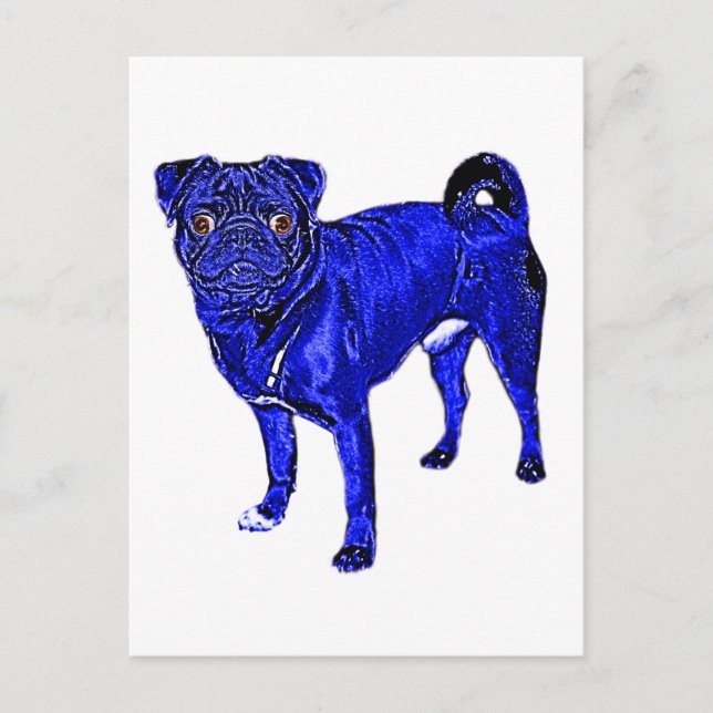 Mops-Jack in Blau Postkarte (Vorderseite)