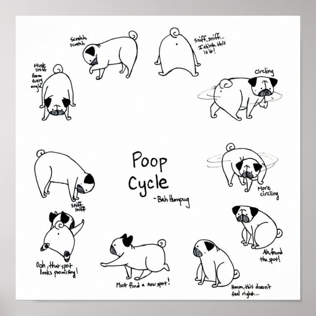Mops Kack Cycle Poster (Vorne)
