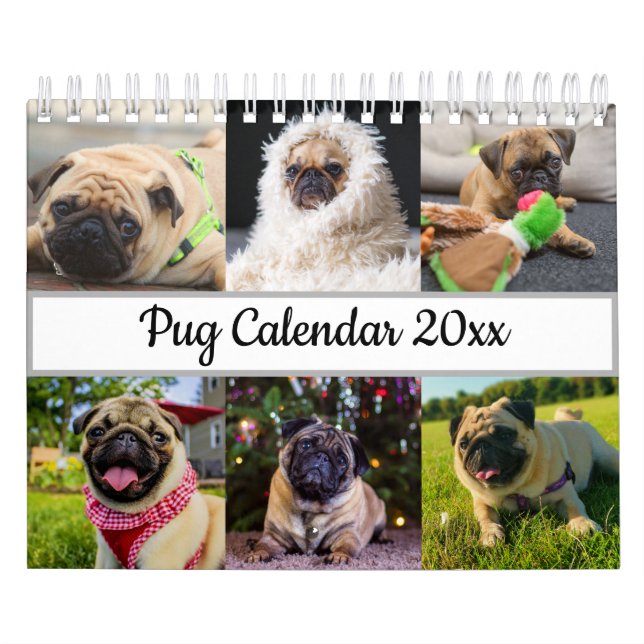 Mops Kalender (Titelbild)