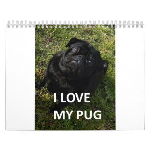 Mops Kalender