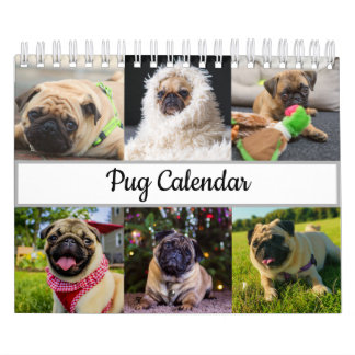 Mops Kalender