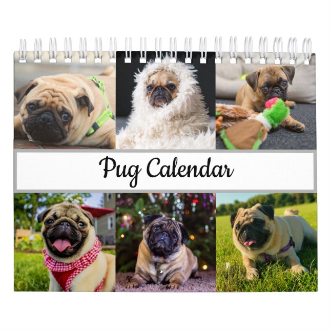 Mops Kalender (Titelbild)