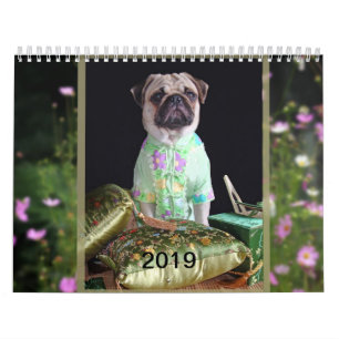 Mops-Kalender 2019 Kalender