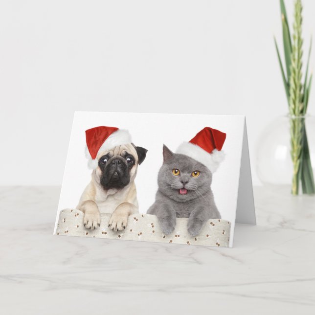 Mops & Katze - Weihnachtskarte Karte (Vorderseite)