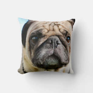 Mops Kissen