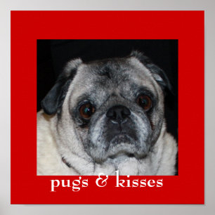 Mops & Kisses Poster