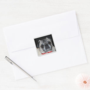 Mops & Kisses Sticker