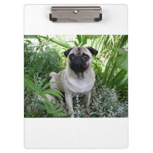 Mops Klemmbrett