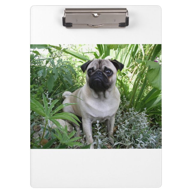 Mops Klemmbrett (Vorderseite)